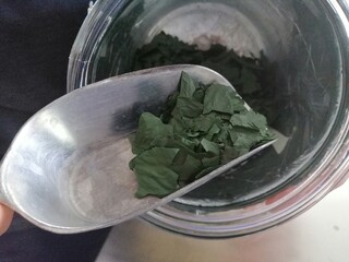 Alga spirulina in scaglie appena essiccata in fabbrica