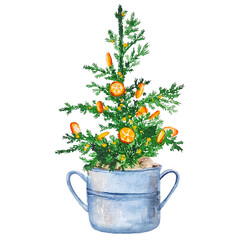 Watercolor evergreen Christmas tree decorated with oranges in the pot scandinavian design clipart