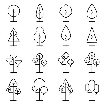 Tree Vector Line Icon Set. Naturally beautiful symbol, wooden trunk and outline branches for map. Vector illustration. Editable stroke.
