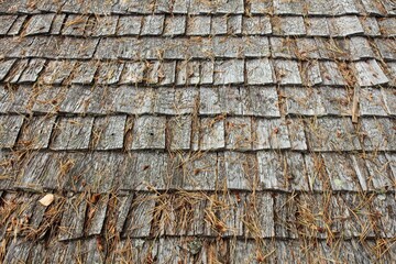 Old wood shingle roof covered with dry pine needles.