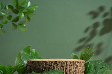 Wood podium table top blurred monstera green leaf plant nature background.Beauty cosmetic natural...