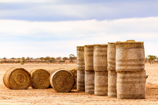 Large hay bales delivered and stacked for drought relief.