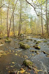 Upper Nukarinkoski rapids in autumn with leaves on the ground on the river Vantaajoki, Nukari, Nurmij&auml;rvi, Finland.