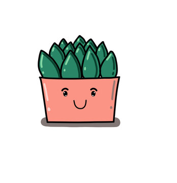 cactus 