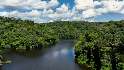 Amazon River at Amazon Rainforest. The biggest tropical rainforest of world. Manaus Brazil. Amazonia ecosystem. Nature wild life landscape. Global warming emissions reduction. Amazon river wild life. - obrazy, fototapety, plakaty