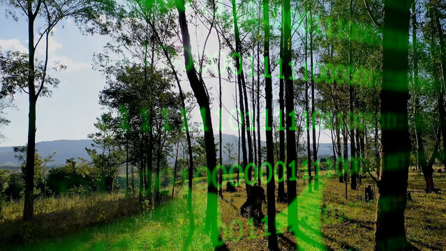 Binary code effect for green energy. Deforestation or reforestation for control of climate change. Environment emissions reduction. Clean energy generation. - Powered by Adobe