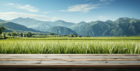 Paddy field with wooden table at the right side, in the style of shaped canvas, blurred, landscape - focused