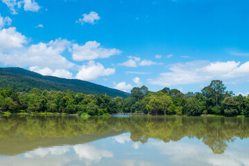 Fototapeta na wymiar Reflection of Mountain landscape and tree in a lake.