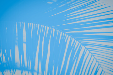 Blue and gray background with palm branch pattern, copy space