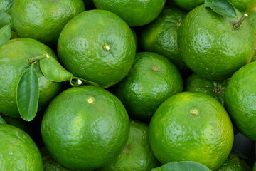Green oranges with leaves as background	