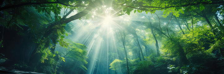 sunlight streaming through a tropical forest canopy - obrazy, fototapety, plakaty