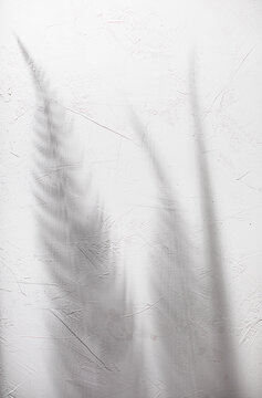 shadows on white plaster