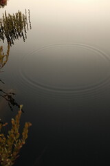 lake ripples - 653819238