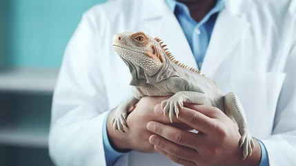 Foto op Canvas Veterinarian holding an iguana in his hands close-up © Daria17