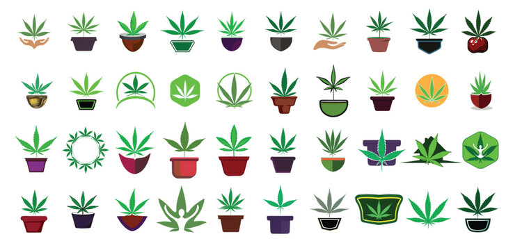 Marijuana Collection Cannabis pots set logo plant illustration PNG vector image