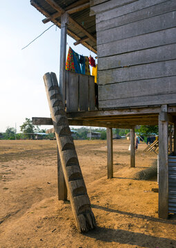 Panama, Darien Province, Alto Playona, Ladder On An Embera Indian House