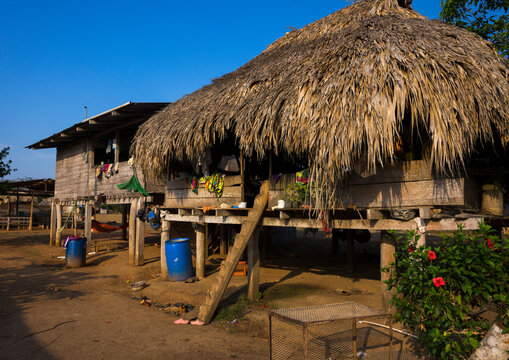 Panama, Darien Province, Alto Playona, Ladder On An Embera Indian House