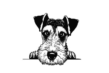 Peeking Airedale Terrier: Endearing Vector Illustration for Dog Lovers