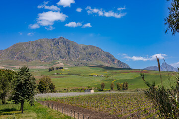 Obraz premium View of the landscape between Strasatto and Ginestra, Sicily