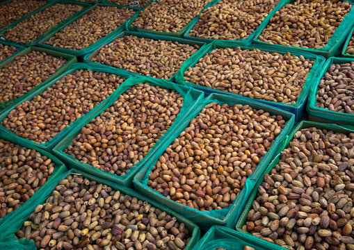Dates for sale in a market, Najran Province, Najran, Saudi Arabia