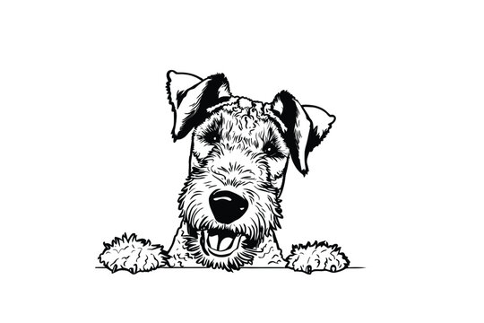 Playful Peek-A-Boo Airedale Terrier: Vector Illustration