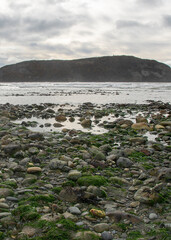 Low tide beach, cabo san pablo, tierra del fuego, argentina