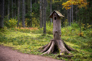 Bird house made from tree stump in the woods