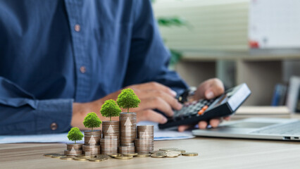 Businessman using a calculator and tree growing on money coin stack with growth graph. Concept of Green business growth or green investment, finance and sustainability investment. Carbon credit. - obrazy, fototapety, plakaty