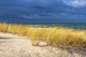 Strand an der Küste der Ostsee in der Nähe von Graal Müritz
