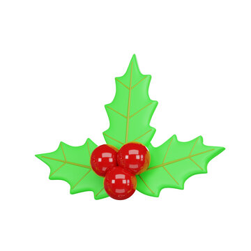 holly and berries Isolate on white background