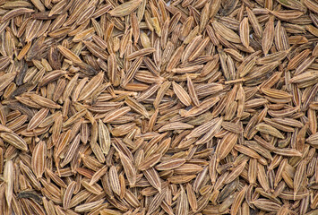cumin seeds in pile close up (marco shot of spices, flavoring) middle eastern, indian and mexican cuisine seed (spicy food, lamb)