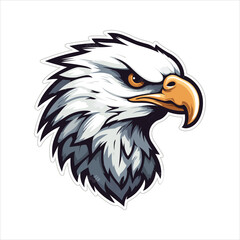 vector eagle  illustration
