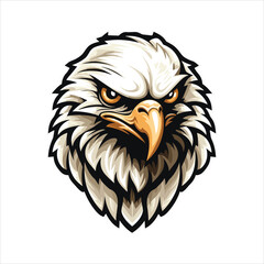 vector eagle  illustration