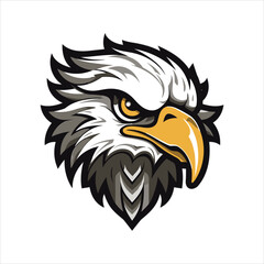 vector eagle  illustration