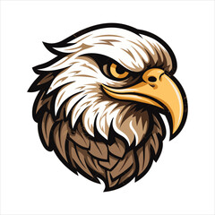 vector eagle  illustration