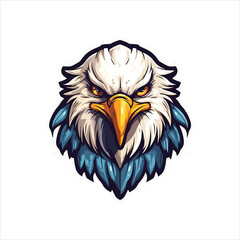 vector eagle  illustration