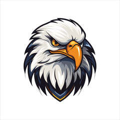 vector eagle  illustration