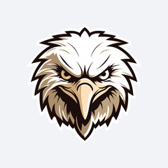 vector eagle  illustration