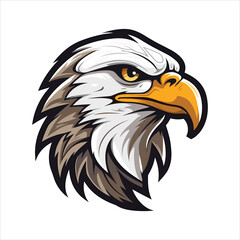 vector eagle  illustration