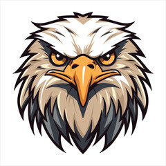 vector eagle  illustration
