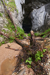 Cave in the limestone mountains