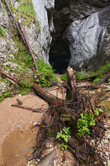 Cave in the limestone mountains
