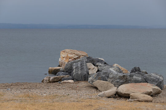 rocks on the beach forms lisard 