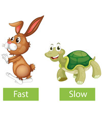 Obraz na płótnie Canvas Hase und Schildkröte wer ist der schnellste