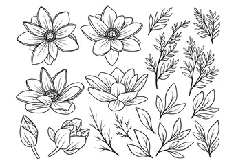 Flower logo, floral logo, flower hand drawn, flower illustration, set, pattern,watercolor, logo design