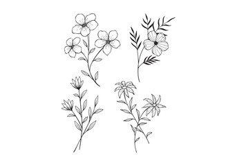 Fototapeta na wymiar Flower logo, floral logo, flower hand drawn, flower illustration, set, pattern,watercolor, logo design