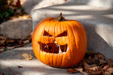 decaying jack-o-lantern with old fallen leaves
