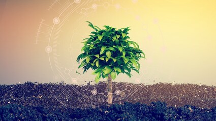 Carbon CO2 emissions, nature background