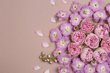 Flat lay composition with different beautiful flowers on beige background, space for text