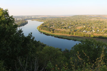 A river surrounded by trees